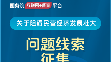 成人祝频c逼国务院“互联网+督查”平台公开征集阻碍民营经济发展壮大问题线索